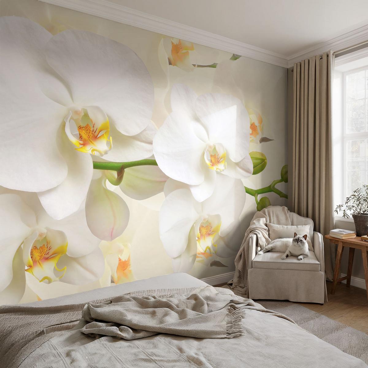 FOTOTAPETE 208x146 cm - Blütenreichtum - Schwarz, Textil (208/146cm) - Wallfluent