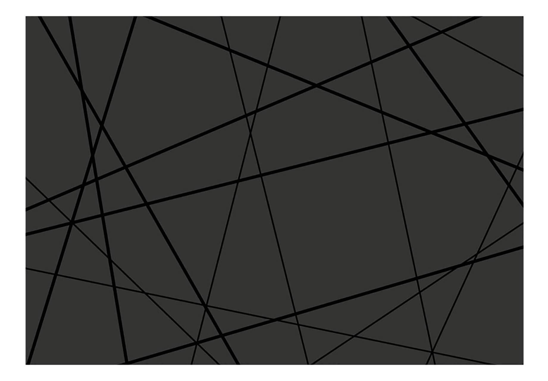 VLIESTAPETE 350/245 cm - Schwarz, Textil (350/1cm) - KUNSTLOFT