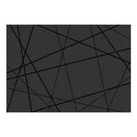 VLIESTAPETE 350/245 cm - Schwarz, Textil (350/1cm) - KUNSTLOFT