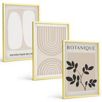 BILDER SET 3er Set - 40x60 cm Goldrahmen - Boho-Pflanzenposter - Goldfarben, Kunststoff (40/60cm) - TULUP