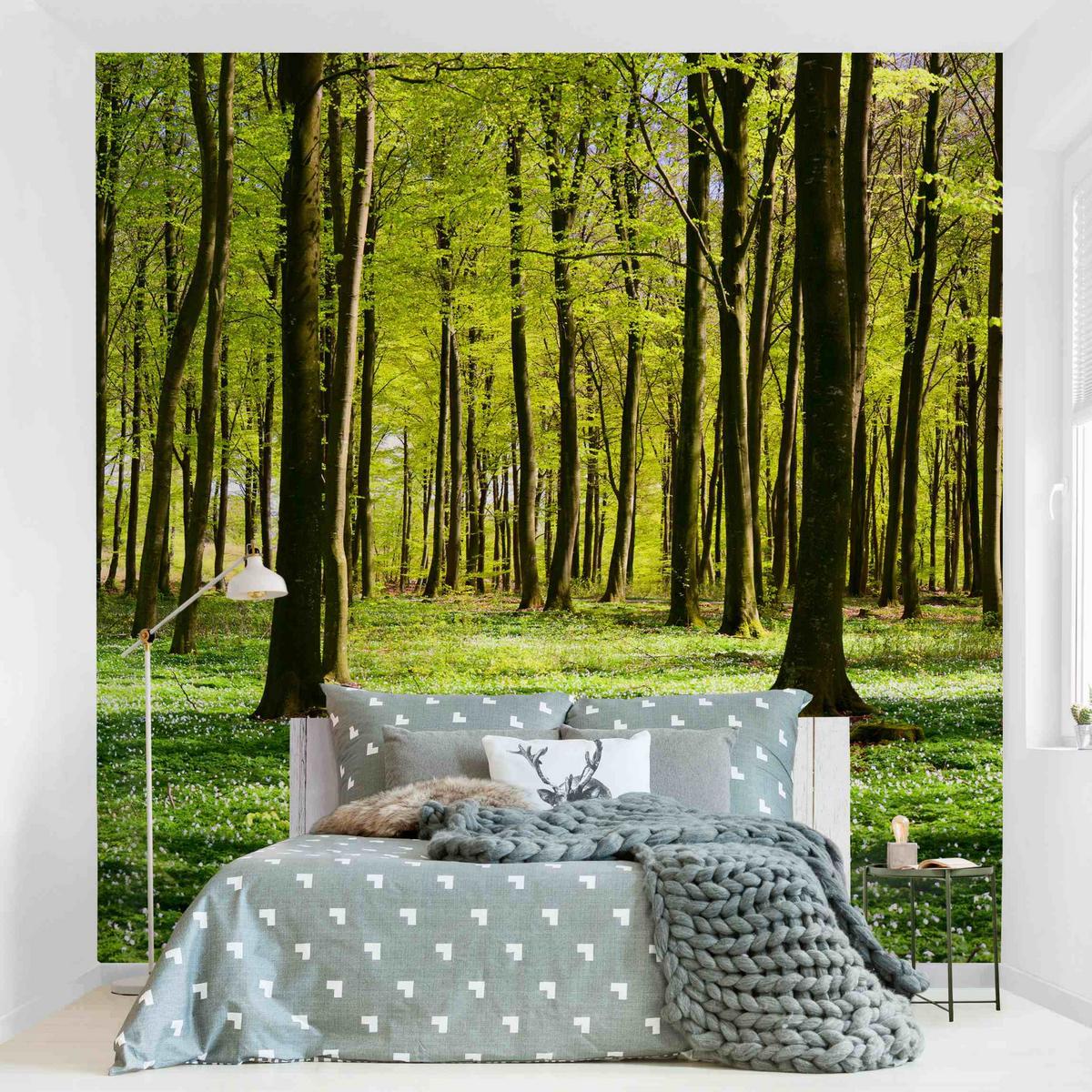 FOTOTAPETE Waldwiese 288/288 cm - Grün, Papier (288/288cm) - Bilderwelten