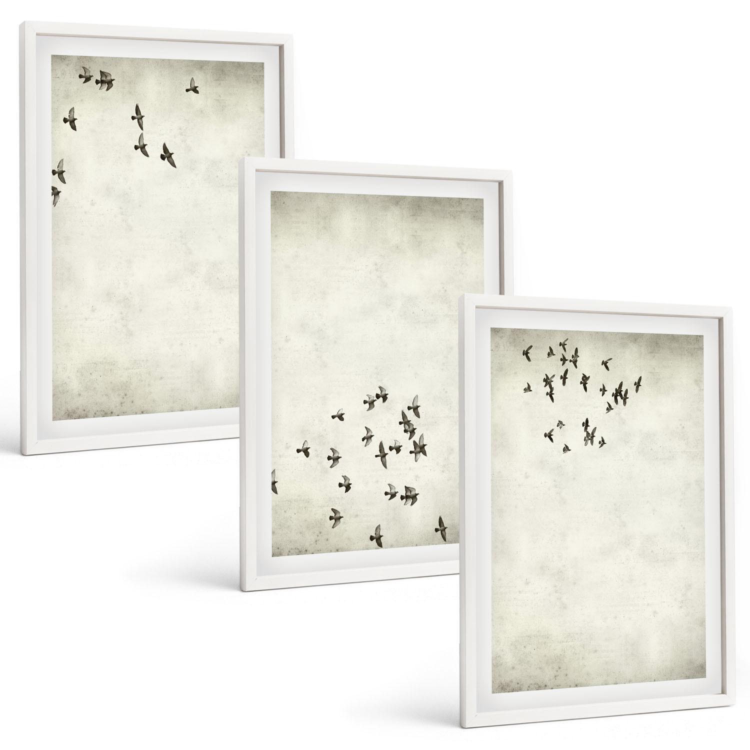 BILDER SET 3er Set - 40x60 cm Weißer Rahmen - Minimalistische Vogelmalerei - Weiß, Kunststoff (40/60cm) - TULUP