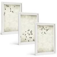 BILDER SET 3er Set - 40x60 cm Weißer Rahmen - Minimalistische Vogelmalerei - Weiß, Kunststoff (40/60cm) - TULUP