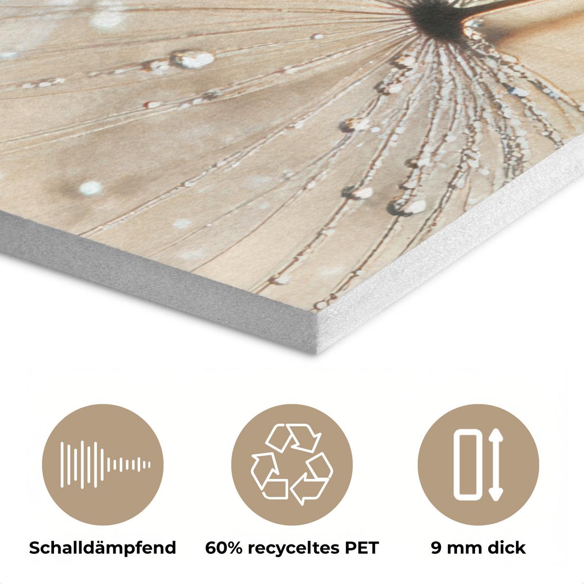 AKUSTIKBILD Löwenzahn - Abstrakt - Natur - Beige Kunstdruck Schlafzimmer 50x70 cm - Braun, Kunststoff (50/70/0.9cm) - MuchoWow