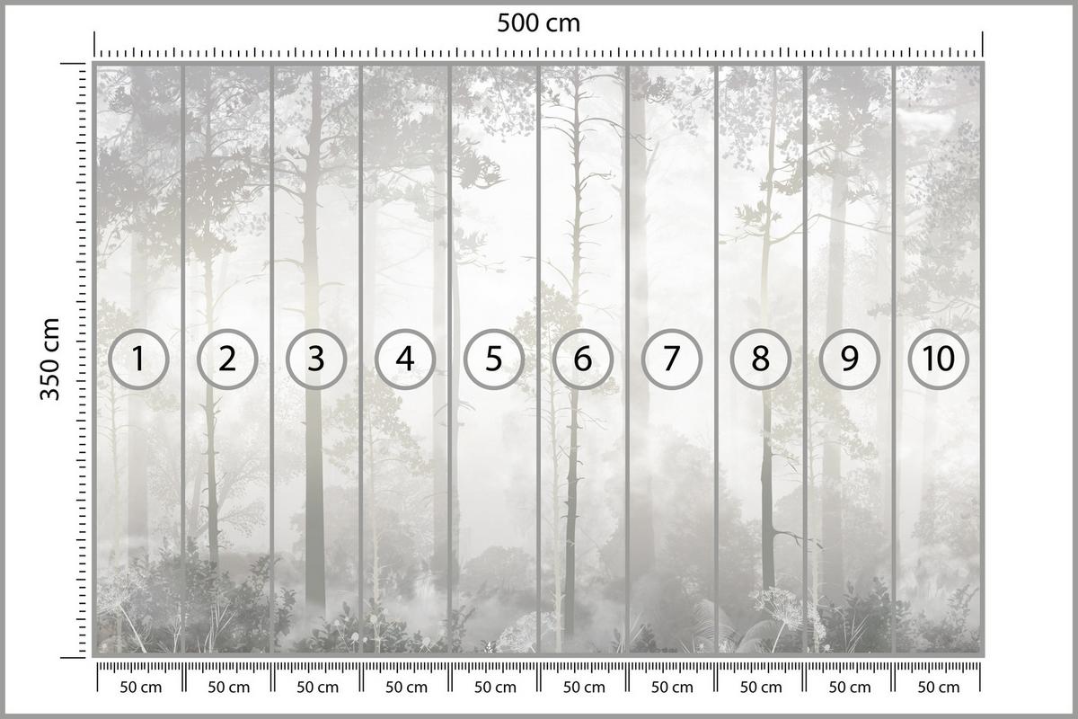 FOTOTAPETE für Schlafzimmer Nebliger Wald Bäume Sträucher Mystik 500x350 - Beige/Weiß, Papier (500/350cm) - Muralo
