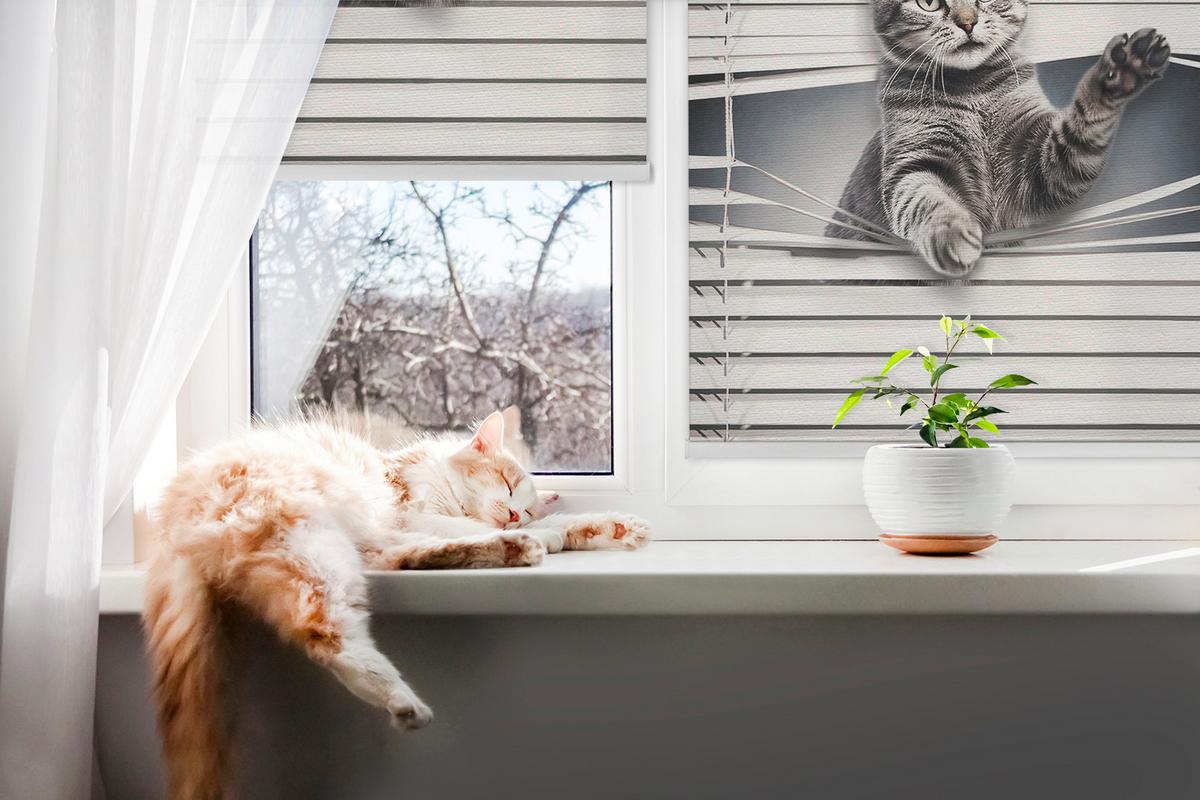 INNENROLLO - Fensterrollo - Rollo - 110x140 cm - Katze - Grau, Kunststoff (110/140/0.5cm) - TULUP