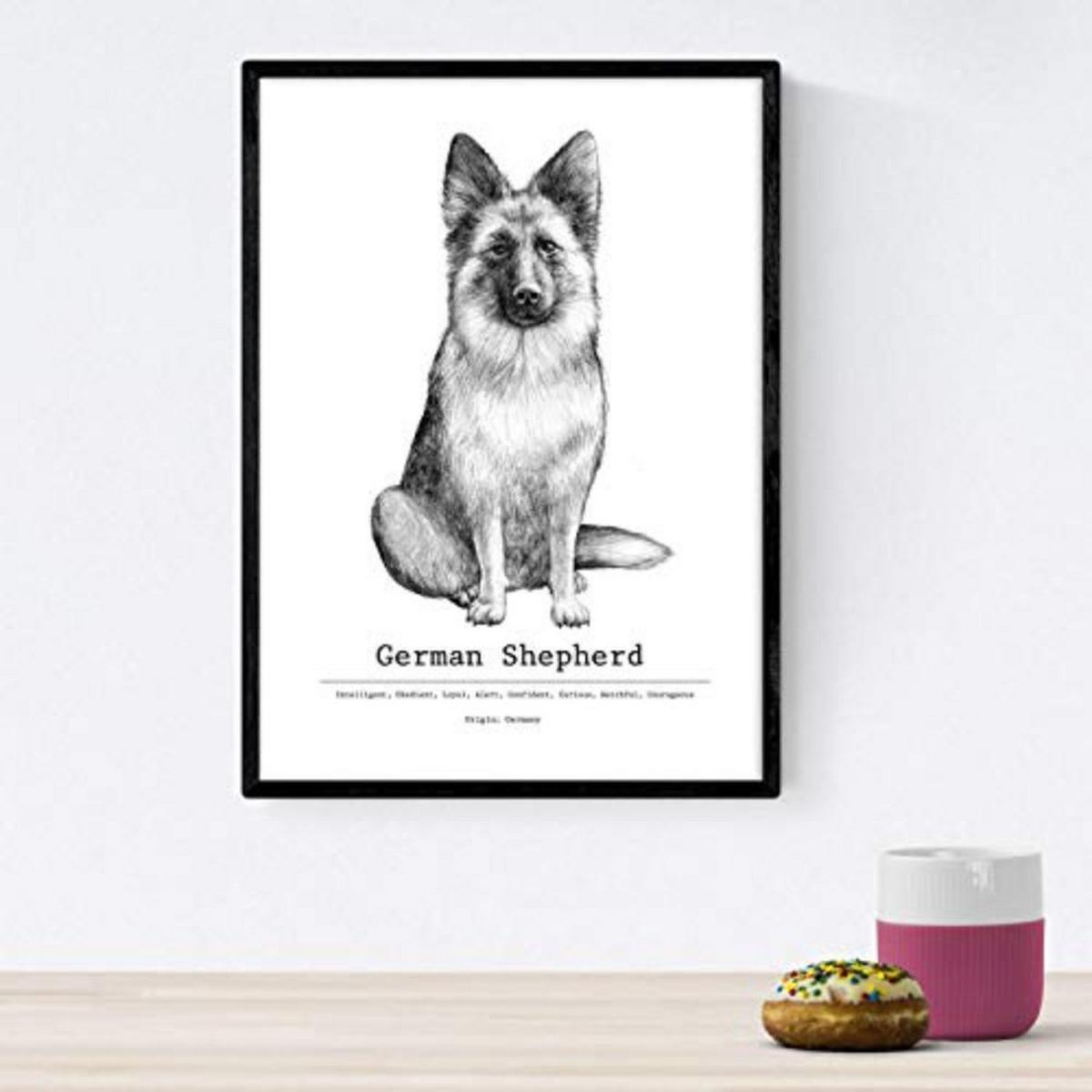 POSTER Set mit 4 Hunderasse A4 Schwarzer Rahmen - Schwarz, Papier (29.7/3cm) - Nacnic
