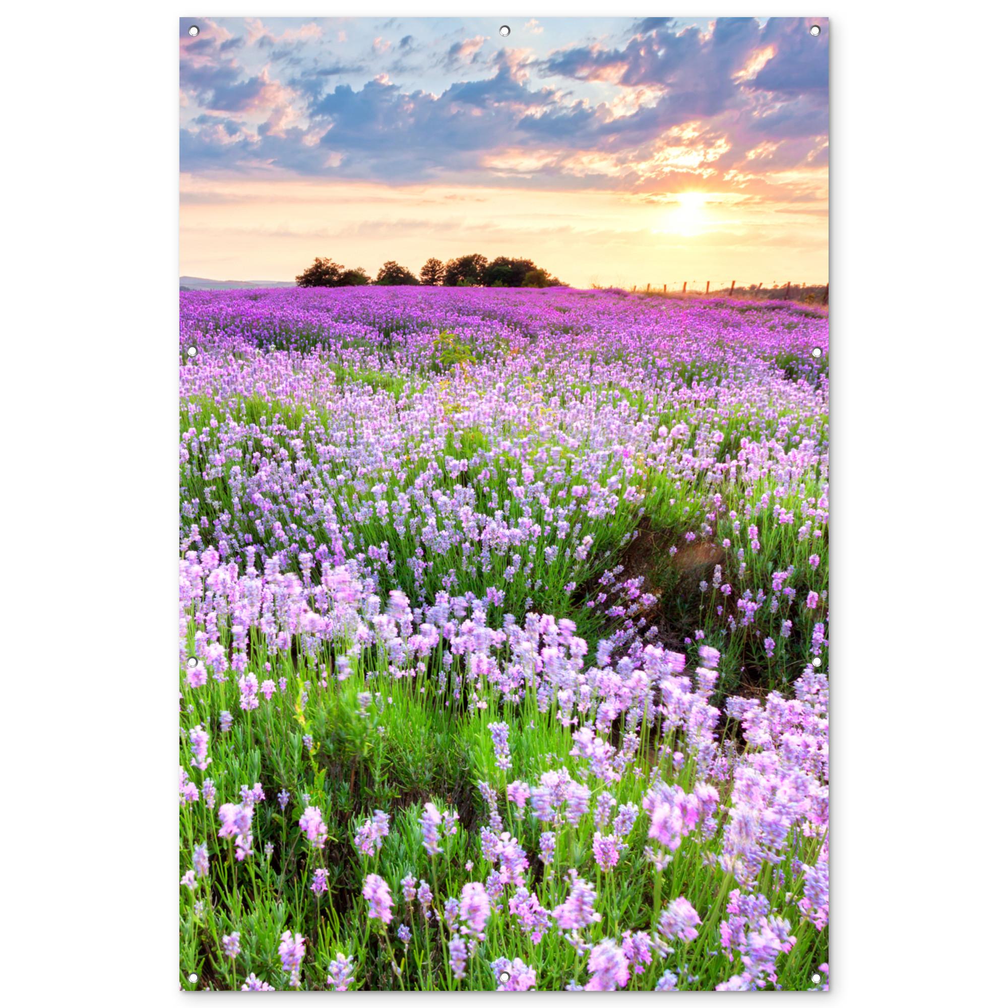 GARTENPOSTER Blumen - Lavendel - Lila - Himmel - Sonnenuntergang - Wiese - Natur Bild 120x180 cm - Flieder, Kunststoff (120/180/0.2cm) - OnlyWow