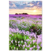 GARTENPOSTER Blumen - Lavendel - Lila - Himmel - Sonnenuntergang - Wiese - Natur Bild 120x180 cm - Flieder, Kunststoff (120/180/0.2cm) - OnlyWow
