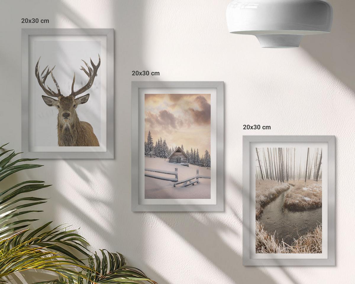 BILDER SET 3er Set - 20x30 cm Silberner Rahmen - Hirschhütte in Winterlandschaft - Silberfarben, Kunststoff (20/30cm) - TULUP