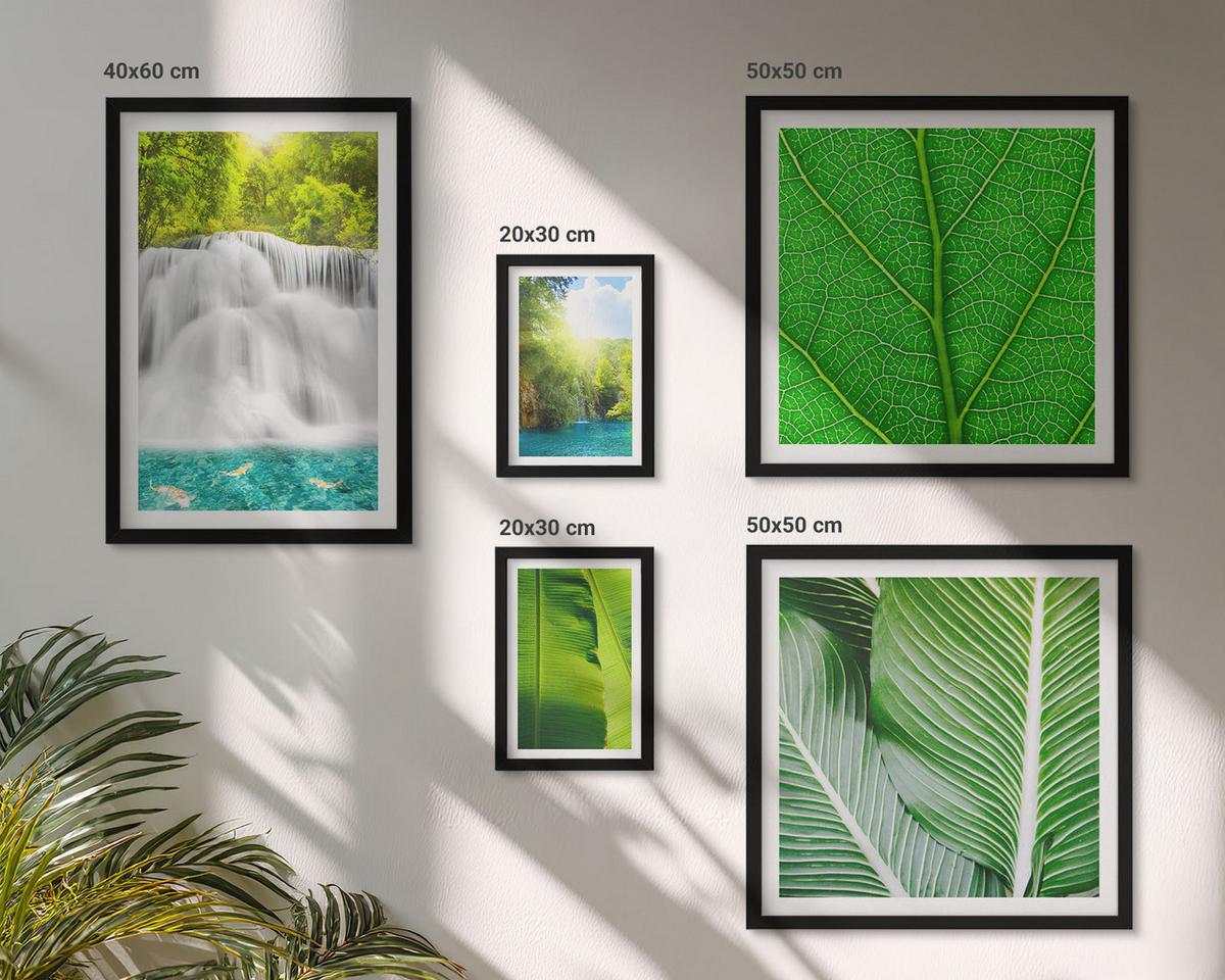 BILDER SET 5er Set - 50x50 cm & 20x30 cm & 40x60 cm Schwarzer Rahmen - Nahaufnahme von tropischen Blättern - Schwarz, Kunststoff (40/60cm) - TULUP
