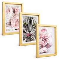 BILDER SET 3er Set - 20x30 cm Goldrahmen - Katze in rosa Blumen - Goldfarben, Kunststoff (20/30cm) - TULUP