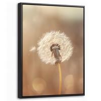LEINWAND Bilder mit Rahmen - Löwenzahn - Beige - Natur - Blume - 30x40 - Hellbraun, Textil (30/40cm) - MuchoWow