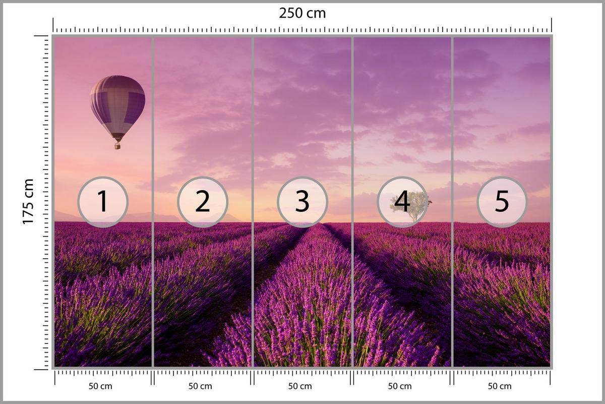 FOTOTAPETE für Wohnzimmer Lavendelfeld Heißluftballon Provence 250x175 - Violett/Lila, Papier (250/175cm) - Muralo