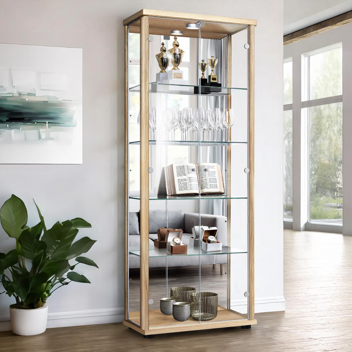 VITRINE 33/67/176 cm mit Spiegel, LED, Schloss & 4 höhenverstellbaren Glasböden - Transparent/Silberfarben, Glas/Holzwerkstoff (67/176/33cm) - K-Möbel
