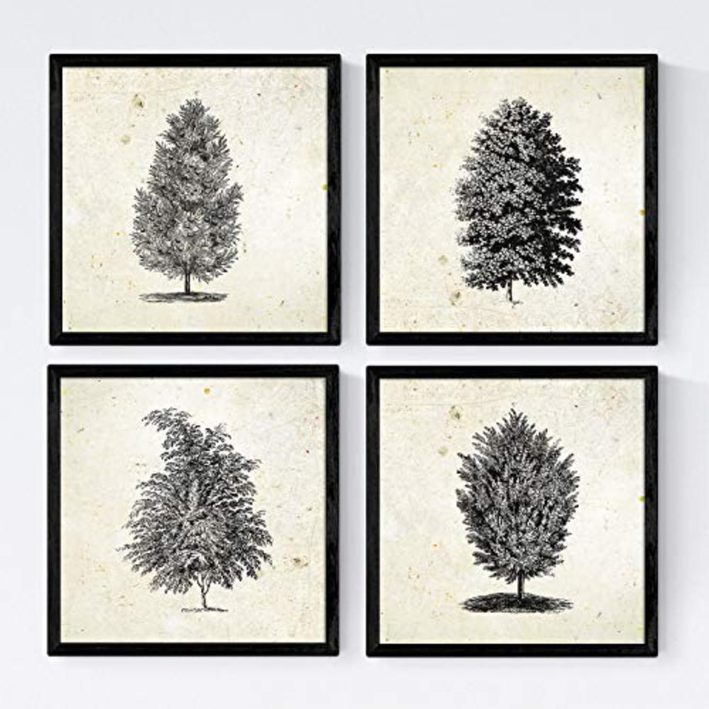 POSTER Set mit 4 Blättern der Bäume Sehr fondosos 20x20cm Schwarzer Rahmen - Schwarz, Papier (20/3cm) - Nacnic