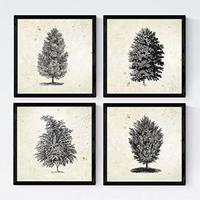 POSTER Set mit 4 Blättern der Bäume Sehr fondosos 20x20cm Schwarzer Rahmen - Schwarz, Papier (20/3cm) - Nacnic