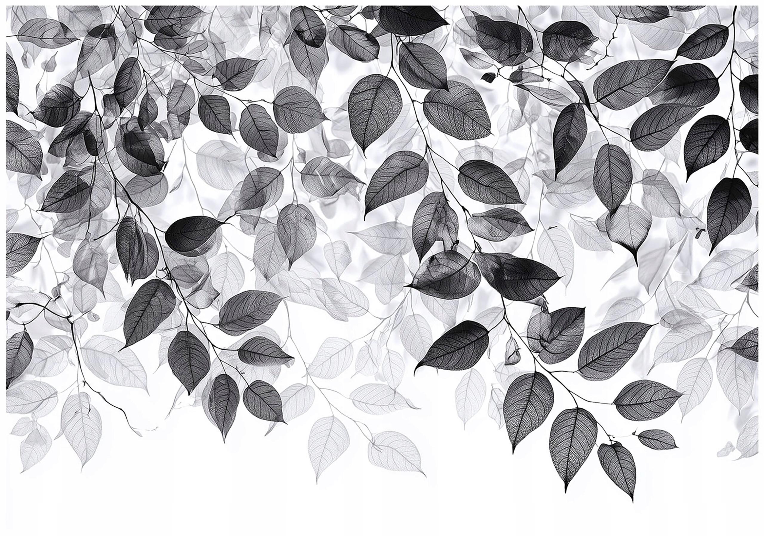FOTOTAPETE Blätter Schwarz Weiß Wohnzimmer 200x140 - Multicolor, Papier (200/140cm) - Wallarena