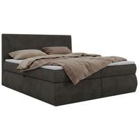 BOXBETT TARENZA 180/200 - Beige Velvet - Topper T25 - H3 - Dunkelgrau/Schwarz, Kunststoff/Textil (160/200cm) - MKS