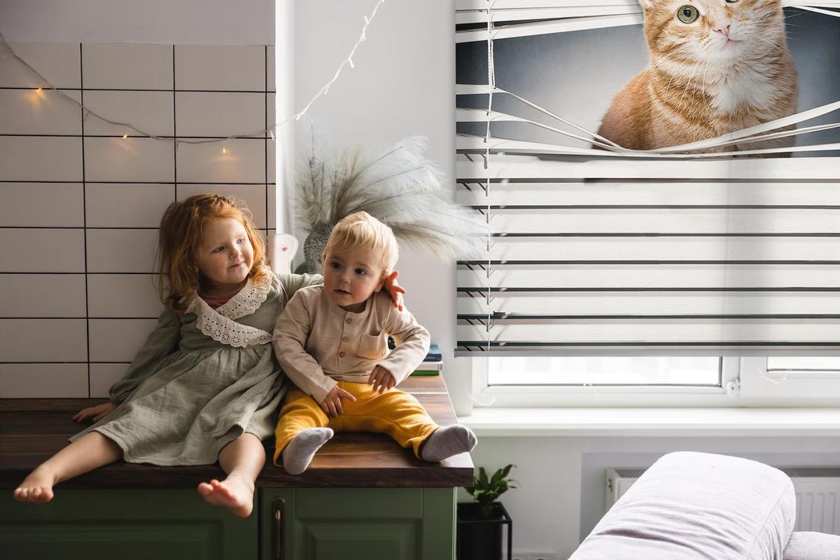 INNENROLLO - Fensterrollo - Rollo - 90x140 cm - Ingwerkatze - Grau, Kunststoff (90/140/0.5cm) - TULUP