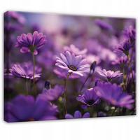 LEINWANDBILD Blumen Wiese Lila 60x40 cm - Multicolor, Holzwerkstoff (60/40cm) - Wallarena