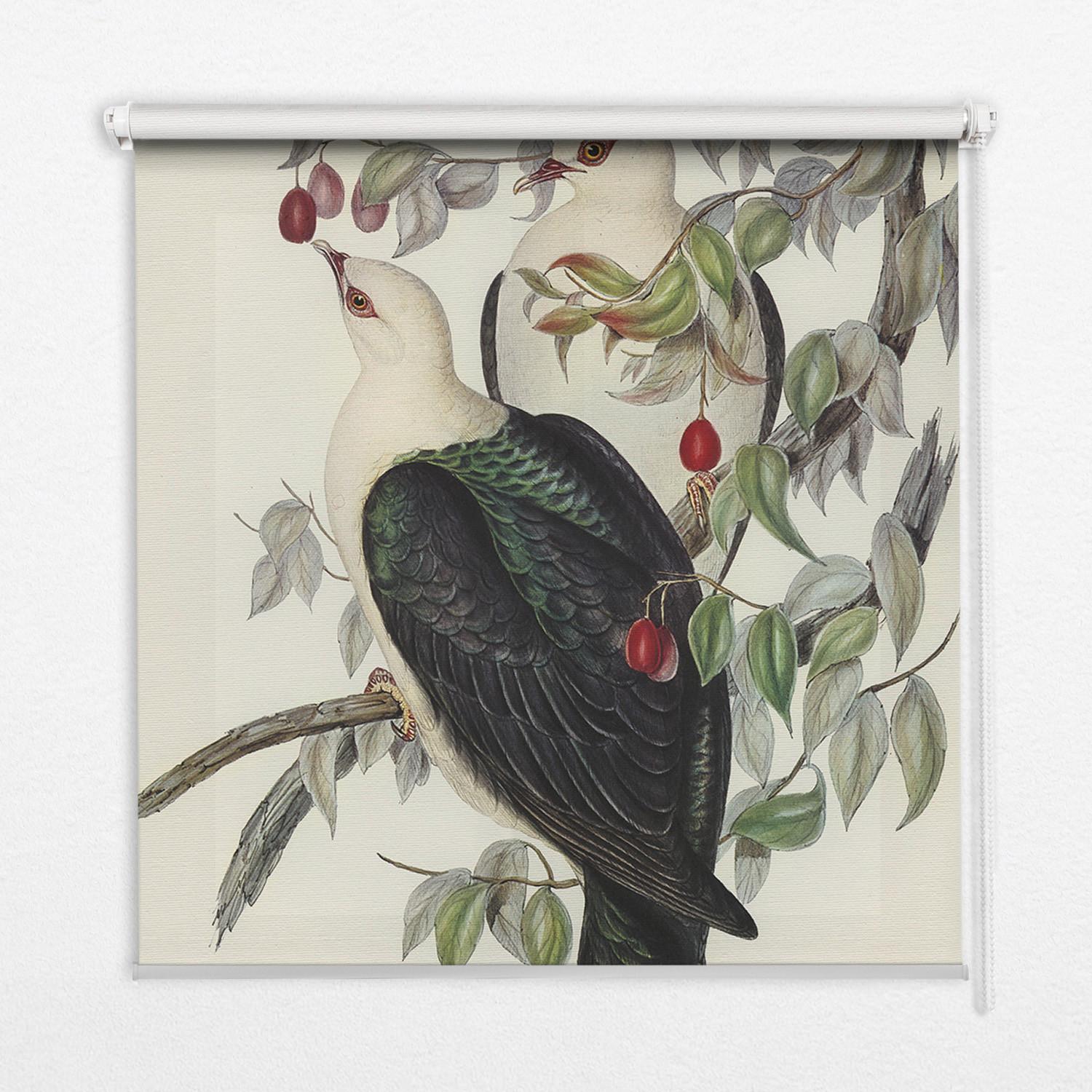 INNENROLLO - Fensterrollo - Rollo - 60x40 cm - Vögel auf einem Ast - Weiß, Kunststoff (60/140/0.5cm) - TULUP