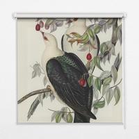 INNENROLLO - Fensterrollo - Rollo - 80x180 cm - Vögel auf einem Ast - Weiß, Kunststoff (80/180/0.5cm) - TULUP
