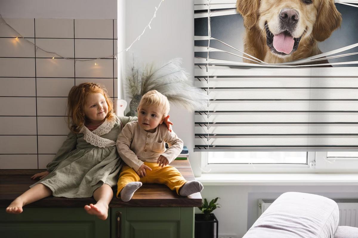 INNENROLLO - Fensterrollo - Rollo - 100x140 cm - Goldener Hund - Grau, Kunststoff (100/140/0.5cm) - TULUP