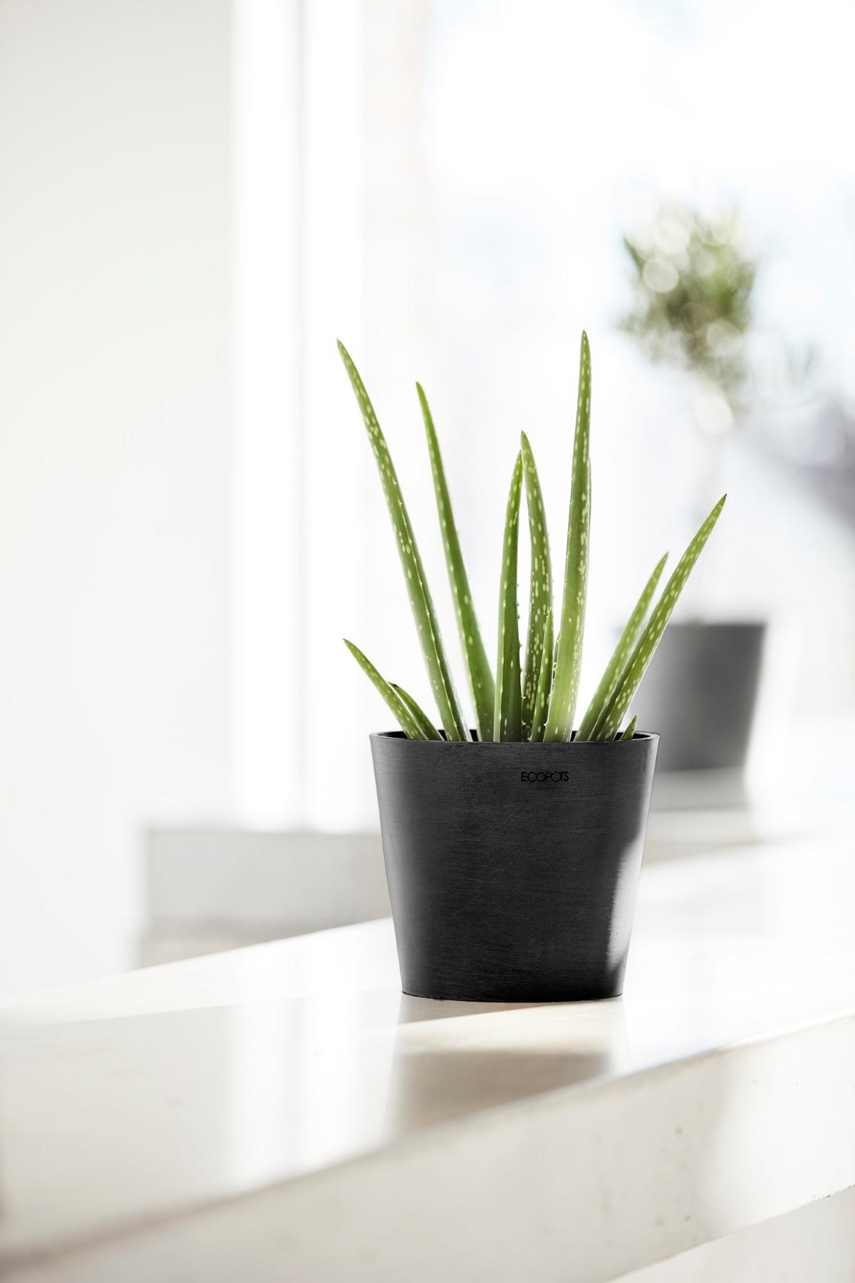 BLUMENTOPF Amsterdam 17/14,7 cm Dunkelgrau - Dunkelgrau, Kunststoff (17/14.7cm) - Ecopots