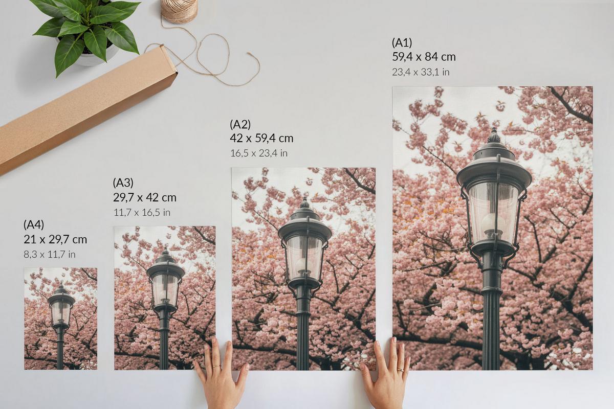 POSTER - 29x42 cm - View - Frühlingslaterne - Pink, Textil (29/42/0.1cm) - TULUP
