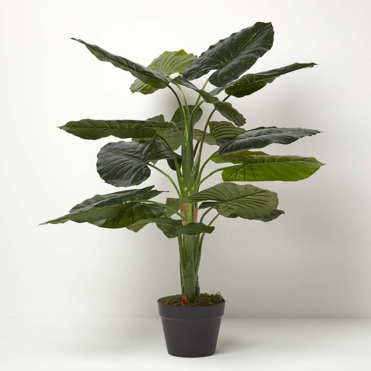 KUNSTPFLANZE Taro, 90 cm - Grün, Kunststoff (90cm) - Homescapes