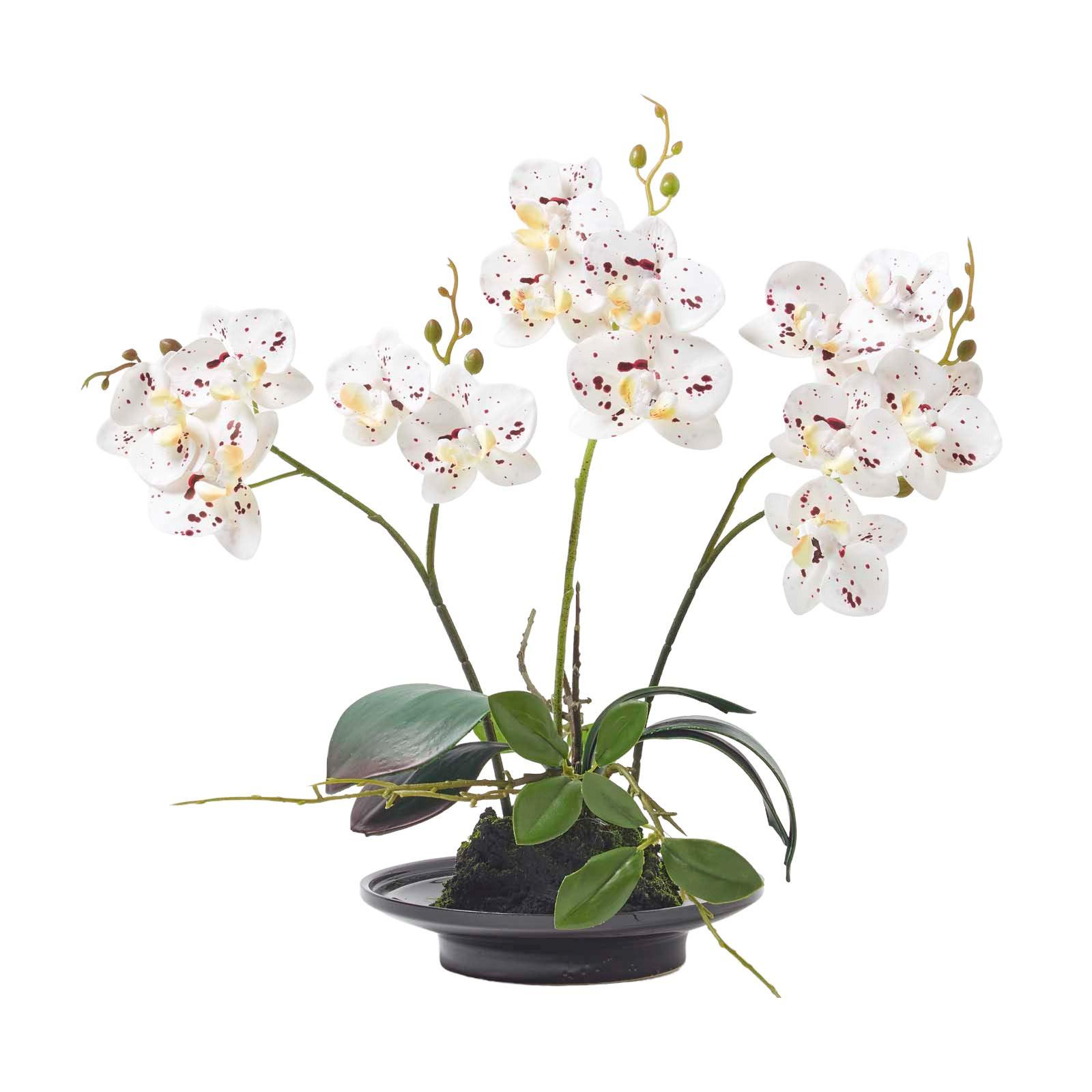 KUNSTBLUME Orchidee weiß-pink in Deko-Schale, 38 cm - Weiß, Kunststoff (38cm) - Homescapes