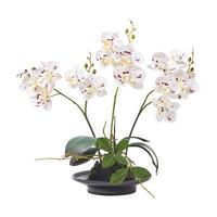 KUNSTBLUME Orchidee weiß-pink in Deko-Schale, 38 cm - Weiß, Kunststoff (38cm) - Homescapes