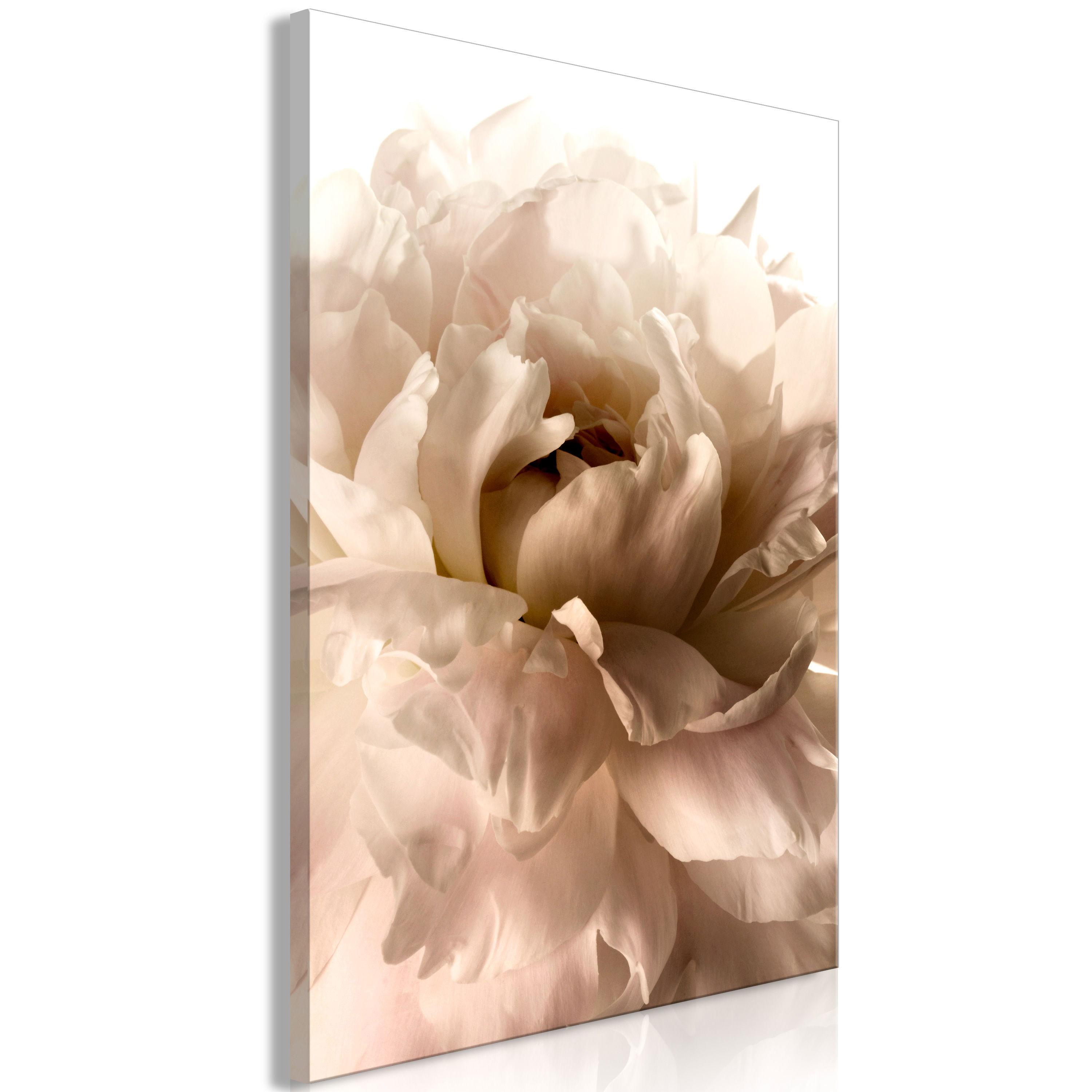 KUNSTDRUCK Braun 40/60 cm - Weiß/Braun, Textil (40/60cm) - KUNSTLOFT