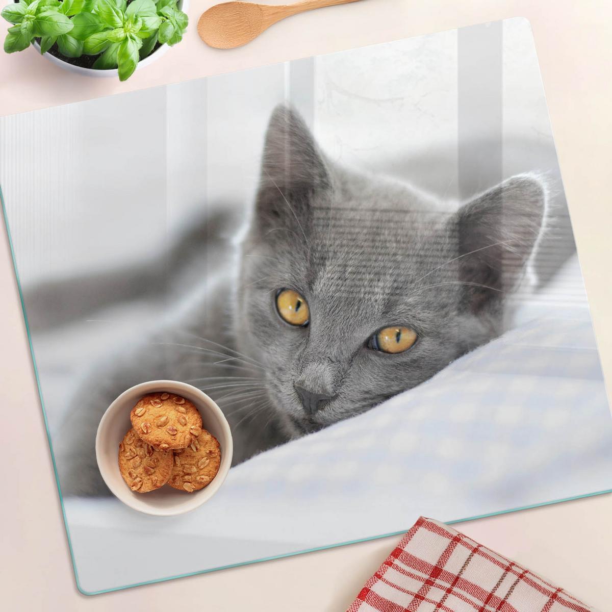 GLASPLATTE 60x52 cm Graue Katze - Grau, Glas (60/52cm) - TULUP