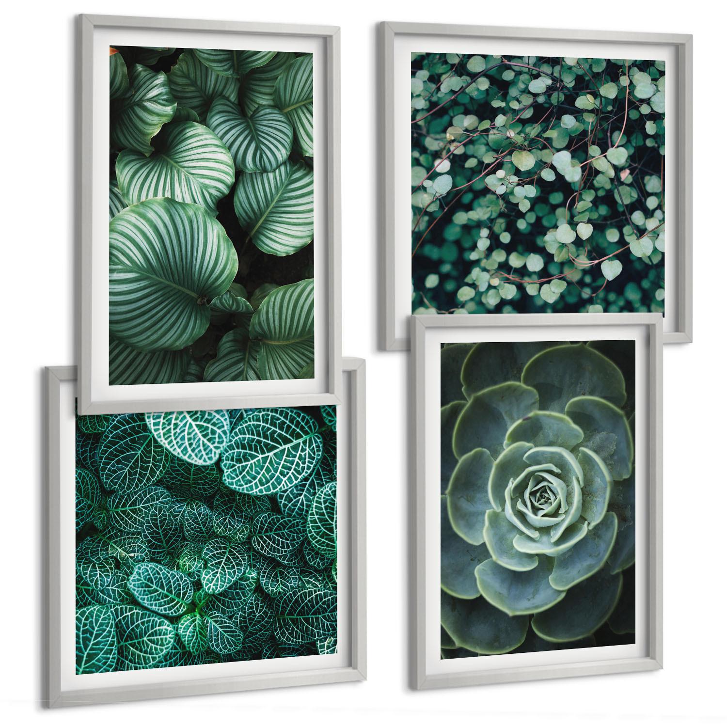 BILDER SET 4er Set - 50x50 cm & 40x60 cm Silberner Rahmen - Grüne Blätter von eleganten Sukkulenten - Silberfarben, Kunststoff (50/50cm) - TULUP