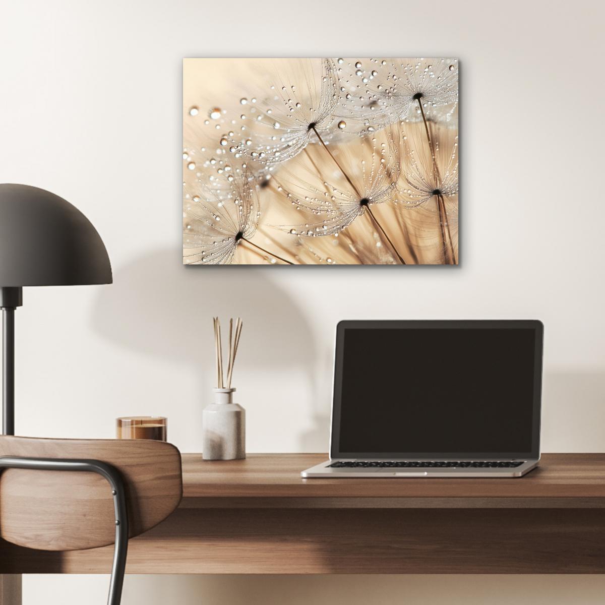 METALLBILD Löwenzahn - Abstrakt - Natur - Beige 40x30 cm - Braun, Metall (40/30cm) - MuchoWow