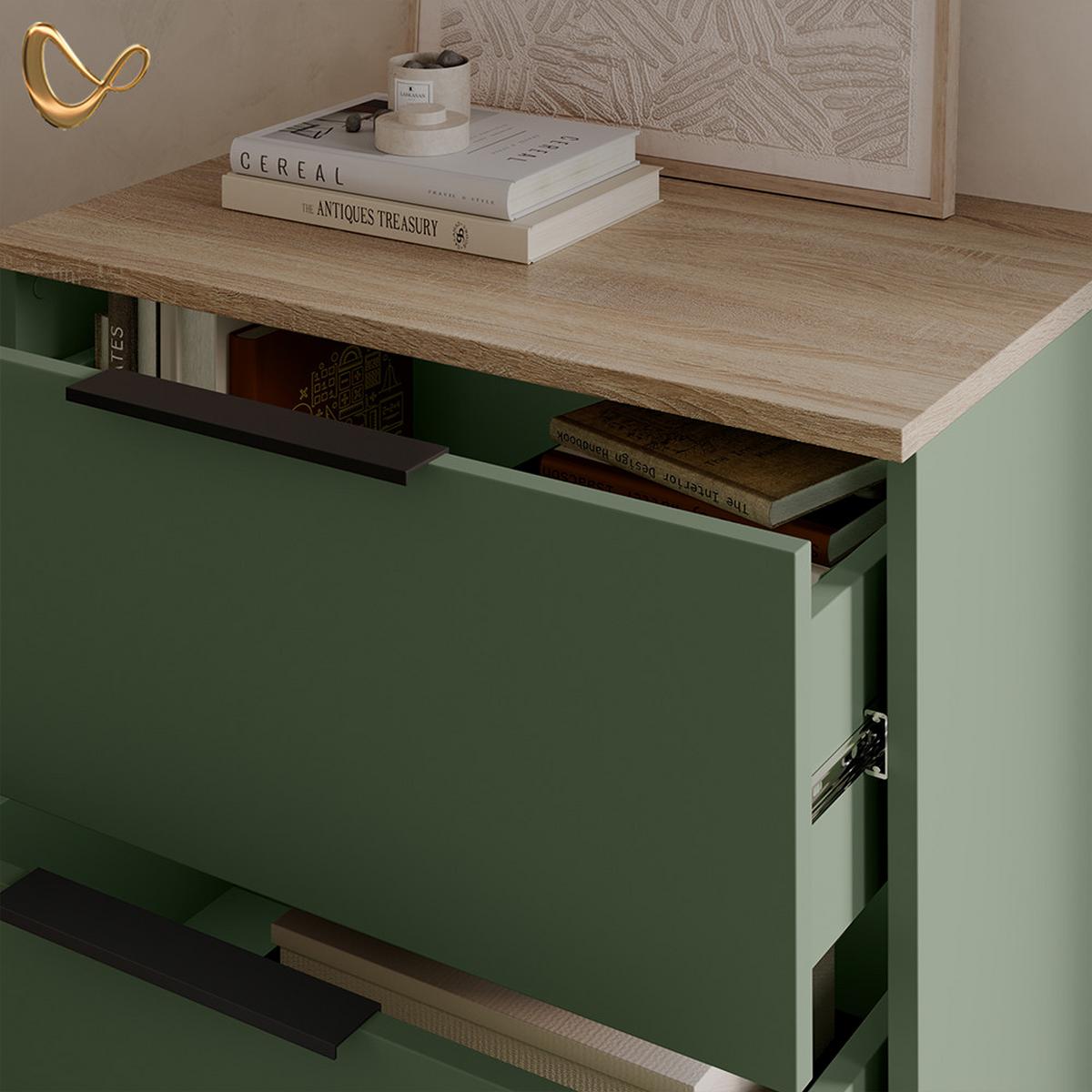 KOMMODE Piave Grün 60 x 50 cm mit 2 Schubladen - Grün, Holzwerkstoff (60/50/40cm) - Livinity®