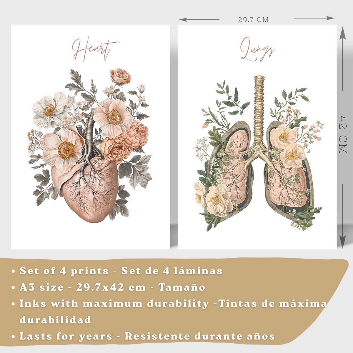 POSTER Set aus 4 Anatomie Mensch Florale Drucke und Wandbilder mit Herz Lungen Skelett und Schädel Stil Medizinische Wanddekoration Größe Rahmenlos A3 - Klar, Papier (29.7/42/3cm) - Nacnic