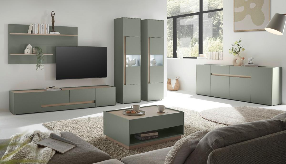 TV-LOWBOARD in Salbei Grün und Eiche, großer TV Unterschrank mit viel Stauraum - Salbeigrün/Eichefarben, Holz/Holzwerkstoff (223/40/45cm) - Furn.Design