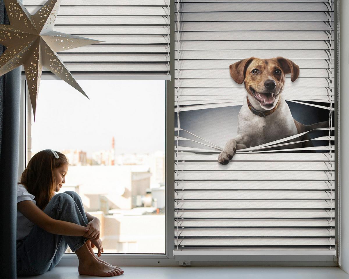 INNENROLLO - Fensterrollo - Rollo - 70x140 cm - Hund - Grau, Kunststoff (70/140/0.5cm) - TULUP