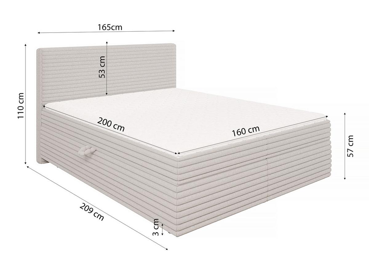 BOXBETT Roma 160/200 cm Hellgrau Plüschcord - Hellgrau/Schwarz, Holz/Kunststoff (160/200cm) - S-Style Möbel