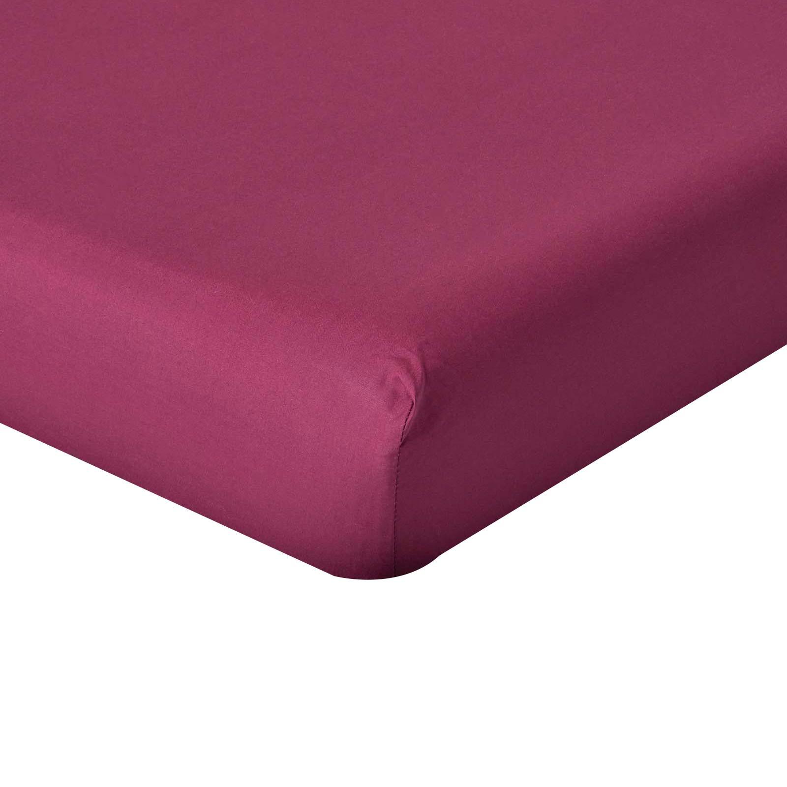 PERKAL-SPANNBETTLAKEN, Ägyptische Baumwolle, Fadendichte 200 - Beere, Textil (100/200cm) - Homescapes