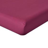PERKAL-SPANNBETTLAKEN, Ägyptische Baumwolle, Fadendichte 200 - Beere, Textil (100/200cm) - Homescapes