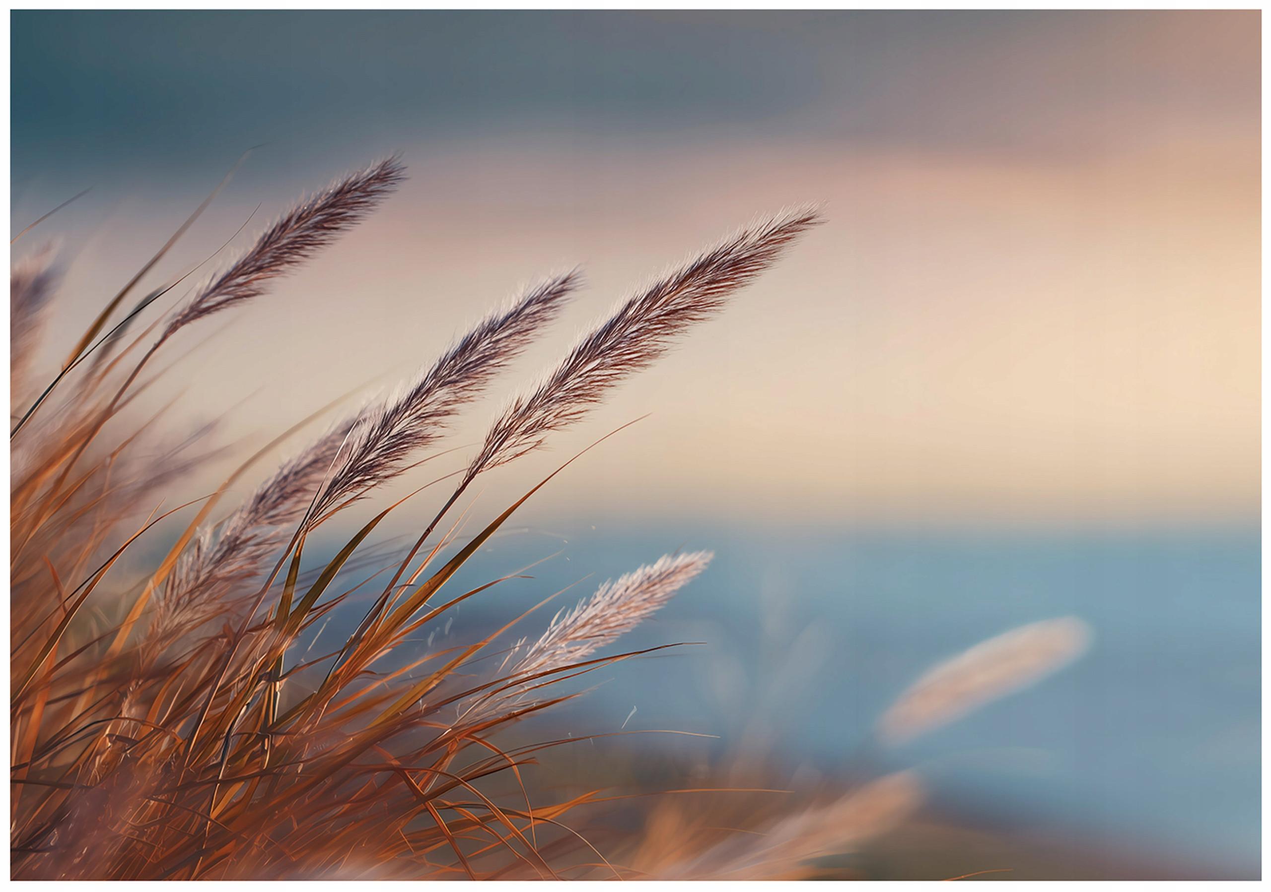 FOTOTAPETE Gras Natur Beige 200x140 cm - Multicolor, Papier (200/140cm) - Wallarena