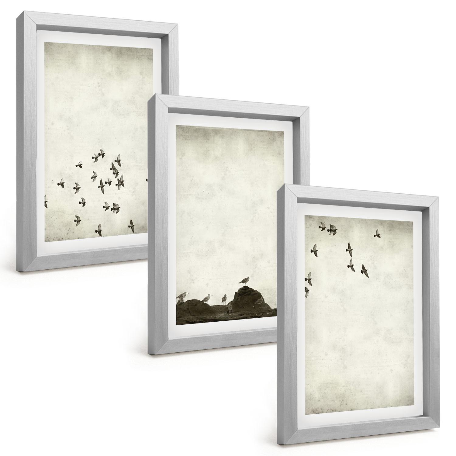 BILDER SET 3er Set - 20x30 cm Silberner Rahmen - Vögel im Flug, minimalistischer Stil - Silberfarben, Kunststoff (20/30cm) - TULUP