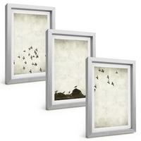 BILDER SET 3er Set - 20x30 cm Silberner Rahmen - Vögel im Flug, minimalistischer Stil - Silberfarben, Kunststoff (20/30cm) - TULUP