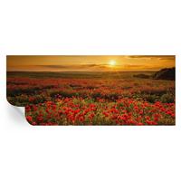 FOTOTAPETE 250x104 cm - Mohnfeld - Rot, Textil (250/104cm) - Wallfluent