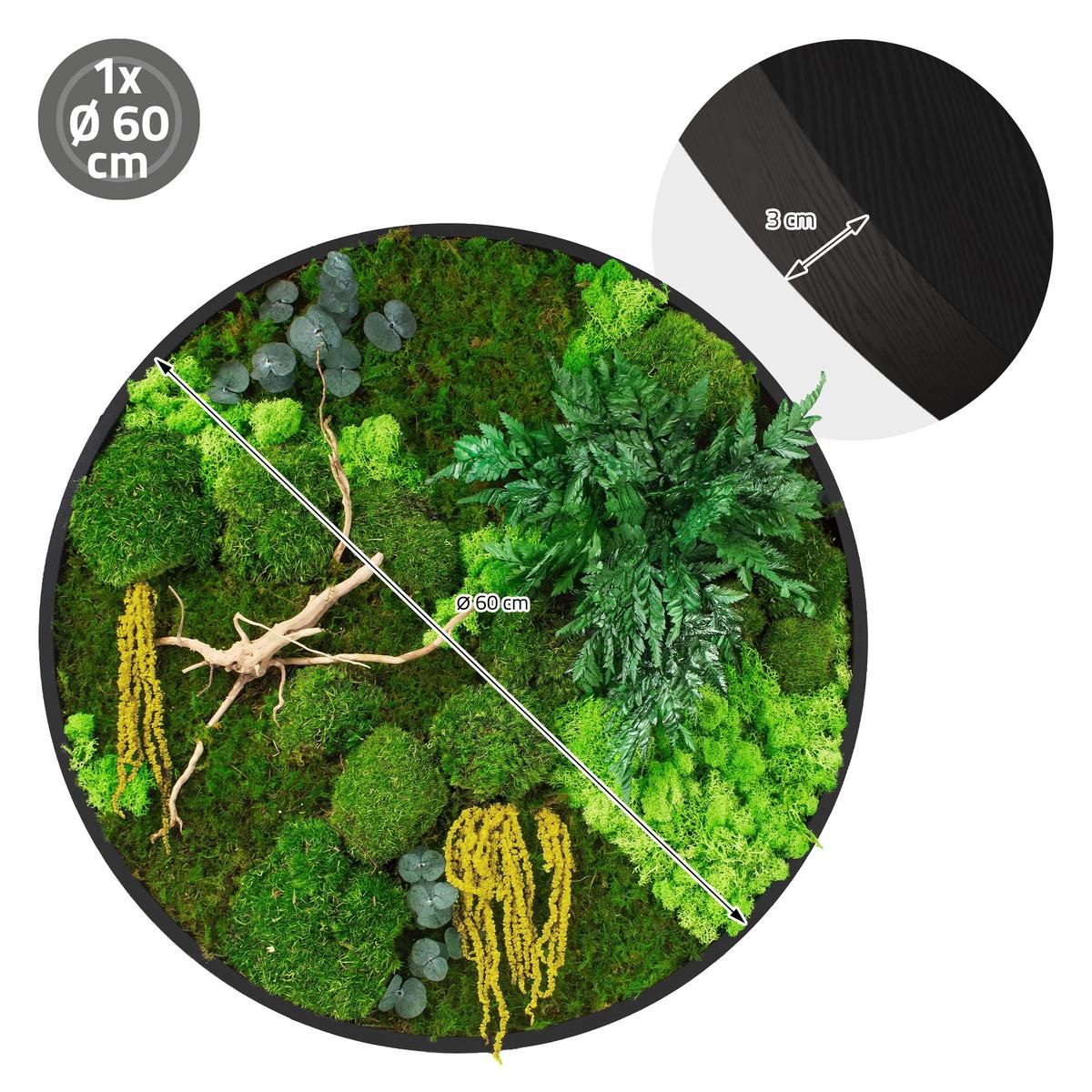 MOOSBILD Rund Ø 60 cm Mooswand Indoor mit echtem Kugel-, Island- und Flachmoos-Mix und Ästen Holzrahmen Grün - Gelb/Grün, Naturmaterialien (60/60/3cm) - ECD-Germany