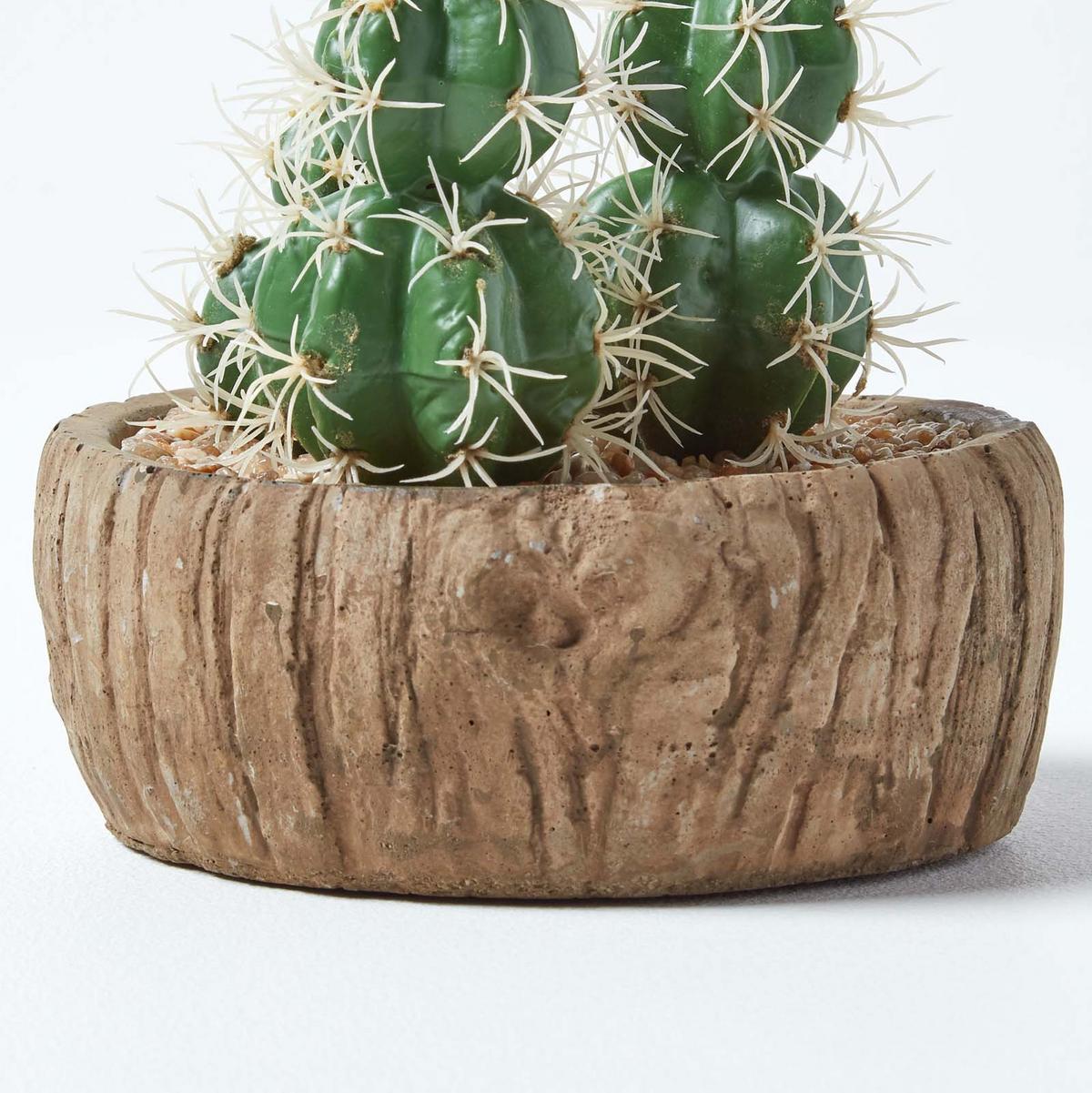 KUNSTPFLANZEN Kakteen in Holzoptik-Schale, 15 cm - Grün, Kunststoff (15cm) - Homescapes